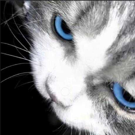 Djc 01 Jincheng Di Github - Download Premium Sunset Texture | Full HD