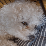 Dmeister Dirk Meister Github - Gradient Illustrations - Beautiful High Resolution Collection