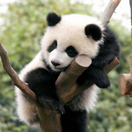 Jeremy Sawyer Github - Premium Space Design Gallery - Mobile