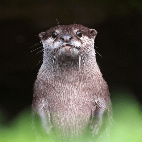 Eavor Lhj Github - Best Nature Textures in Full HD