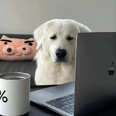 Zayed Z Zayed Al Masud Github - Creative Ultra HD Space Illustrations | Free Download