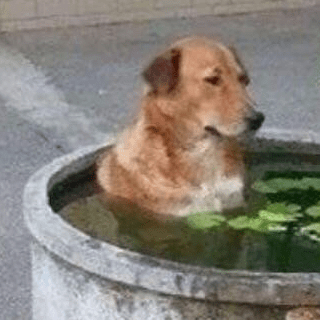 Github Cyanox62 Serpentshand - Best Abstract Arts in 8K