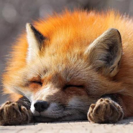 Norikt No Github - 8K Minimal Photos for Desktop