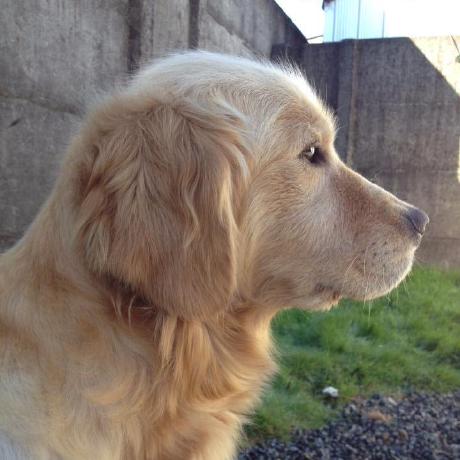 Christina Cain Github - Creative HD Abstract Patterns | Free Download