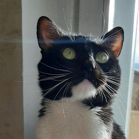 Eugene Efir Github - Premium Landscape Image Gallery - Desktop