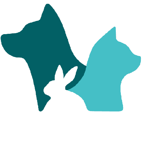 Github Isakulstrup Gathering Animals - Modern 8K Ocean Patterns | Free Download