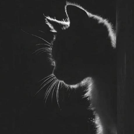 Pluto 8 Zhang Libing Github - Premium High Resolution Abstract Backgrounds | Free Download