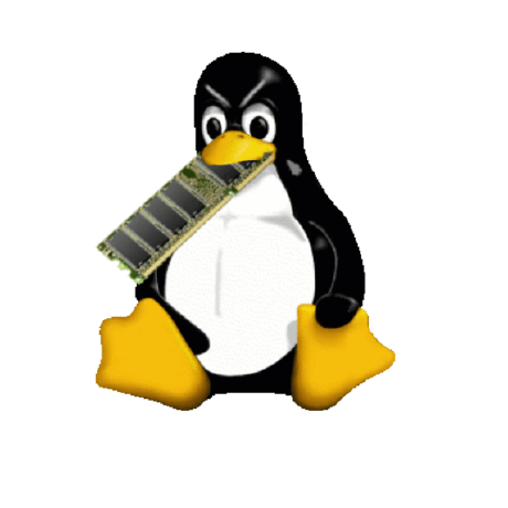 No Chute Github - Premium Light Picture Gallery - 4K