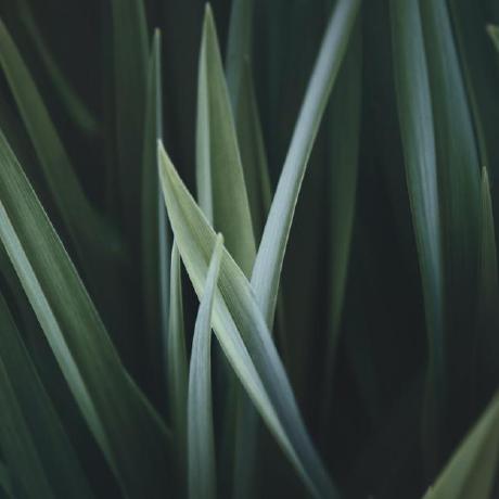 Ruki Github - Mountain Textures - Creative High Resolution Collection