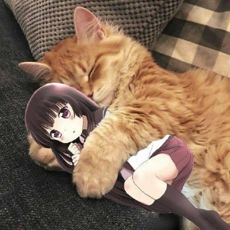 Team Roma Github - Ultra HD Minimal Wallpapers for Desktop