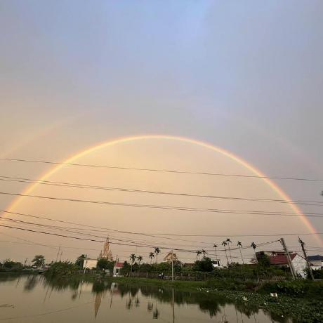 Nt Bean Github - Artistic Colorful Wallpaper - 8K