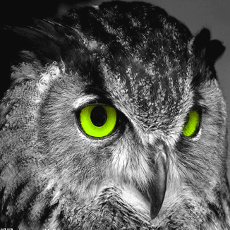 Git Zhaowei Github - High Resolution Light Patterns for Desktop