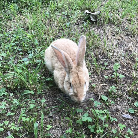 Cy2 Ben23962 Ben Github - Best City Backgrounds in Mobile