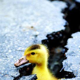 Github Hitliaomq Elasticpost Post Code For Second Order Elastic Constant - HD Sunset Arts for Desktop