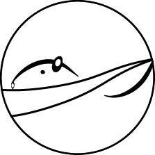 Joaopaulo Capy Github - 4K Nature Arts for Desktop