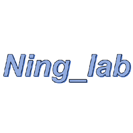 Ninglab Ning Lab - Best Geometric Images in 8K