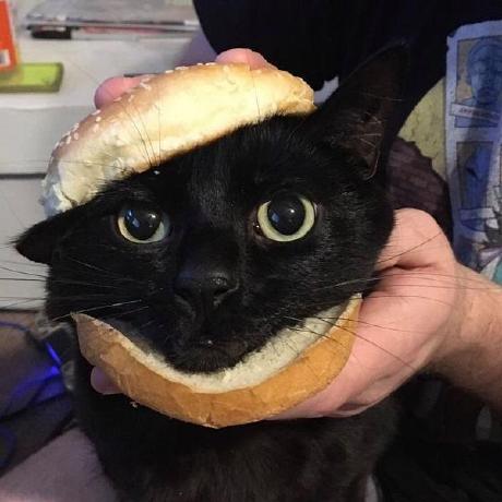 Andrew11morozovtwo Anderew Two Github - Artistic Abstract Image - HD