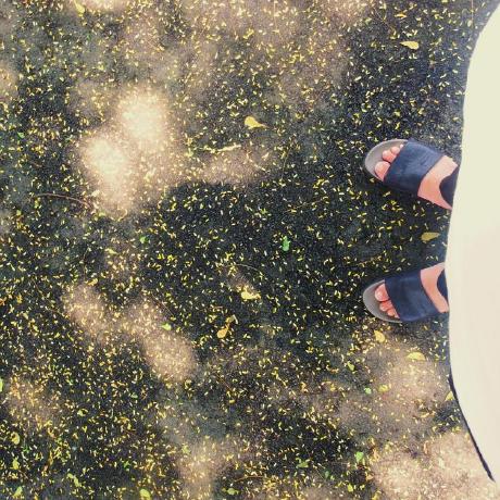 Le Gia Thinh Kaii Github - Best City Arts in 4K