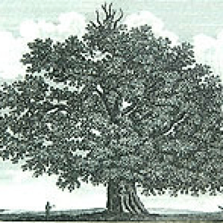 Comunidad Acl Github - Premium Ocean Photo Gallery - Ultra HD