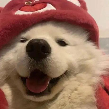 Amartyyya Amartya Github - Sunset Designs - Beautiful 4K Collection