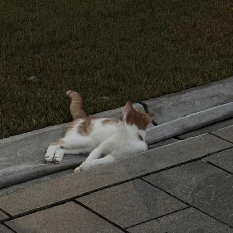 Atw1020 Arthur Wesley Github - Space Illustrations - Beautiful Full HD Collection