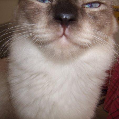 Anders Boyer Github - Amazing Full HD Light Designs | Free Download