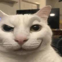 Souptikh Souptik Halder Github - Best City Textures in Full HD