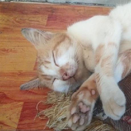 Muhbahri Muhamad Bahri Github - Premium Minimal Design Gallery - High Resolution