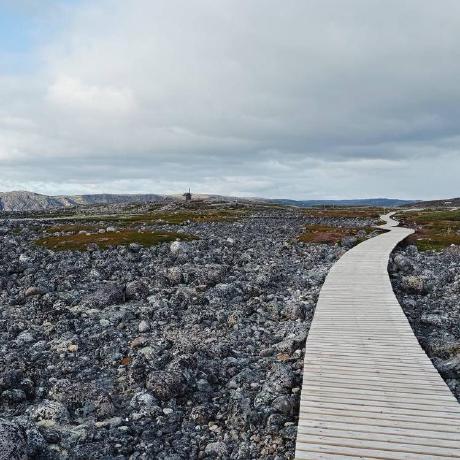 Vasilisakarelova Vasilisa Github - Artistic City Art - Retina