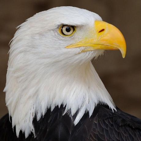 Three Amigos Recipes Github - Amazing Ultra HD Minimal Arts | Free Download