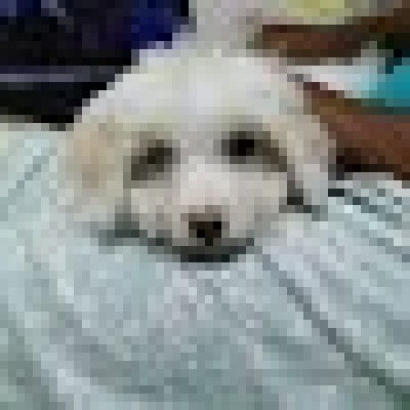 Pavani Github Github - Creative High Resolution Mountain Illustrations | Free Download