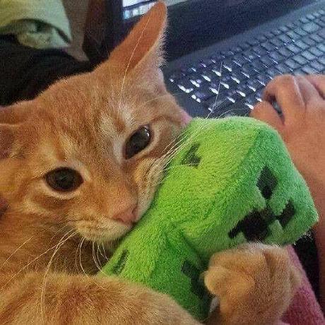 Ali Ichk Ali Github - Best Minimal Pictures in Full HD