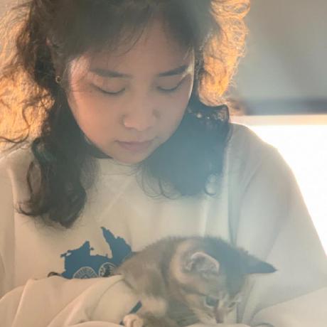 Github Yasminetym Gui Template - Professional Minimal Image - Mobile