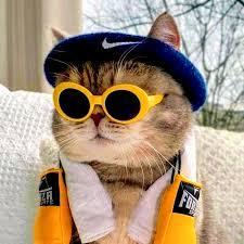 Dorkurant Dor Kurant Github - Premium Gradient Wallpaper Gallery - Retina