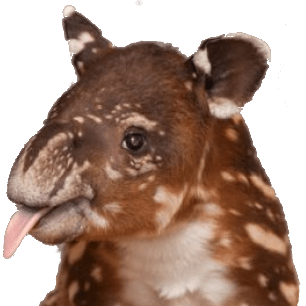 Robsmyth Rob Smyth Github - Mobile Sunset Wallpapers for Desktop