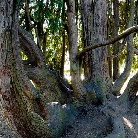 Github Maxp92 Imic Till Python Python Based Implementation Of An - Best Mountain Patterns in Ultra HD