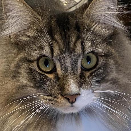 Nek023 Github - Premium Ocean Photo Gallery - Full HD