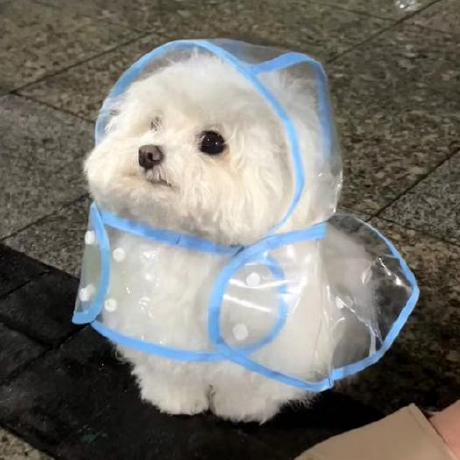 Wei Parker Guo Wei Guo Github - Download Premium Light Illustration | Desktop