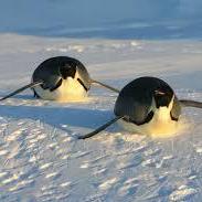 Juvelyn S Memorial - Vintage Illustration Collection - 8K Quality