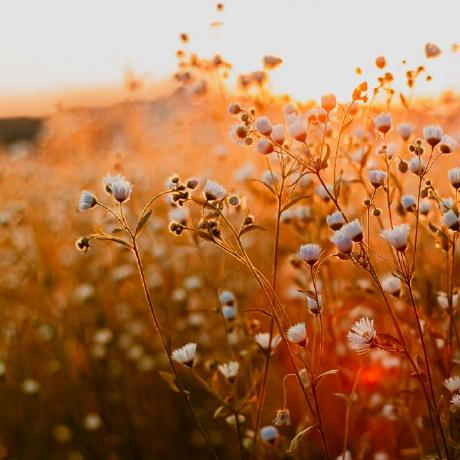 Soumi31das Soumi Das Github - High Resolution Dark Patterns for Desktop