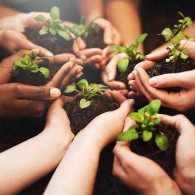 Winners Way Github - Premium Geometric Texture Gallery - Retina