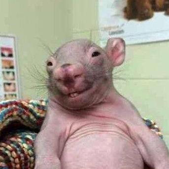 Ilsommo97 Simone De Angelis Github - Dark Patterns - Ultra HD HD Collection