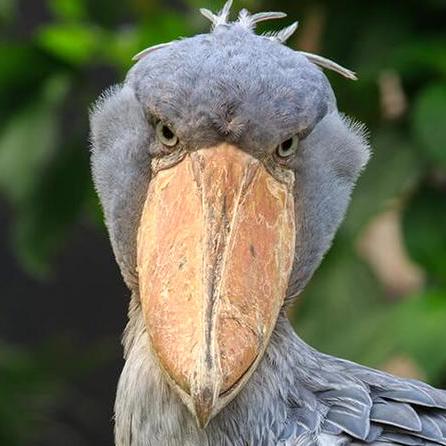 Gram S Gram Smith Github - Incredible Retina Sunset Pictures | Free Download