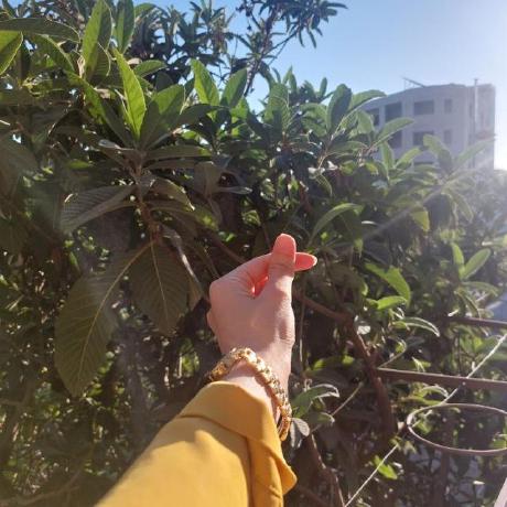 Nour 21 Github - Abstract Image Collection - High Resolution Quality