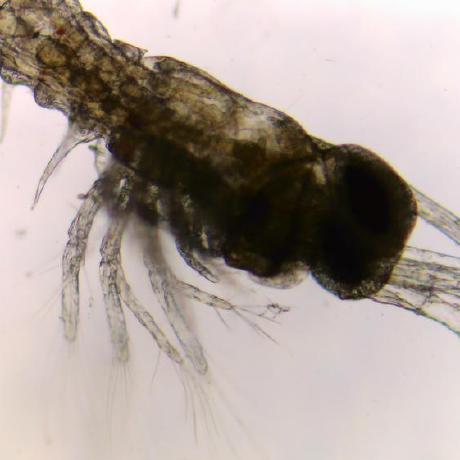 Dongheehann Donghee Han Github - Stunning Abstract Image - Full HD