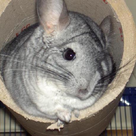 Mathildes Mathilde Github - HD Sunset Images for Desktop