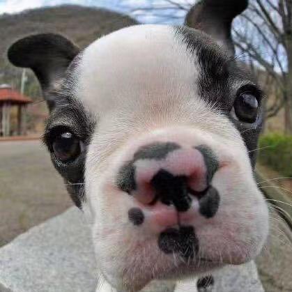 Ginger Code Github - Modern Abstract Wallpaper - 4K