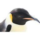 Okay Github - Premium City Texture Gallery - Full HD