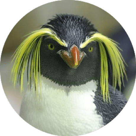 Hayakawa Sho Github - Space Photos - Incredible High Resolution Collection