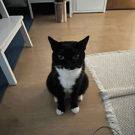 Naval22 Naval Jangir Github - Dark Picture Collection - Ultra HD Quality